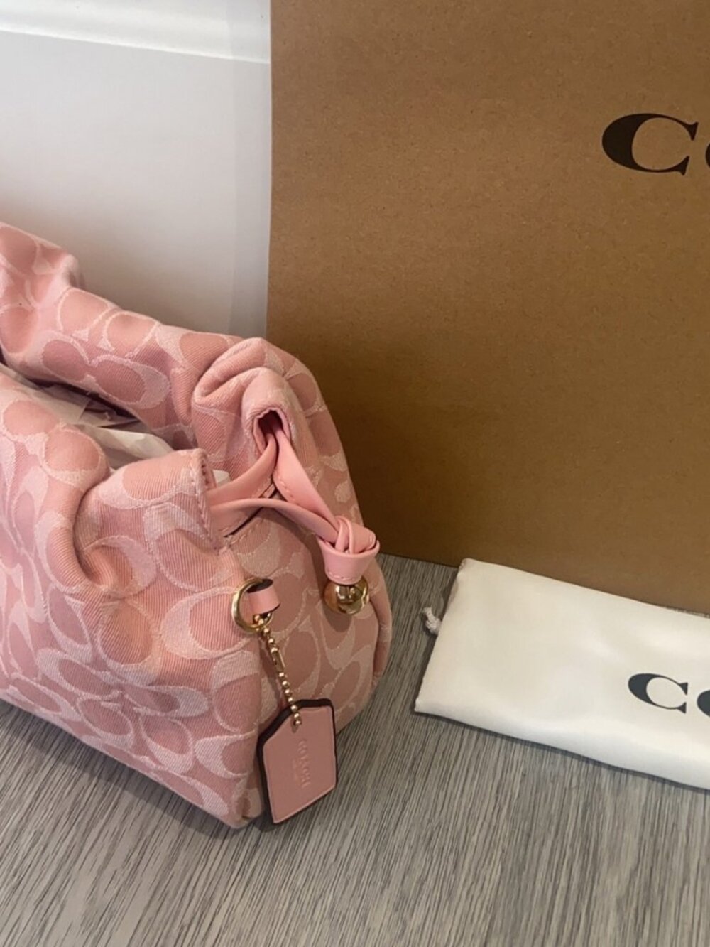 Coach Cloud Bag Crossbody Bag with Double Straps - Picture 5 of 9
